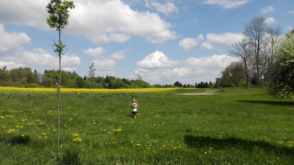 Apartmany Na Rozcesti Lomnice nad Popelkou ภายนอก รูปภาพ